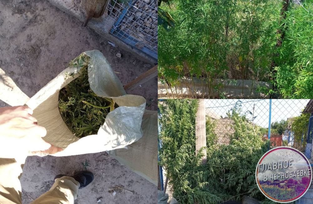 � ������ ��������� ������ ��� ���������� ��������� � 126 ������ �������