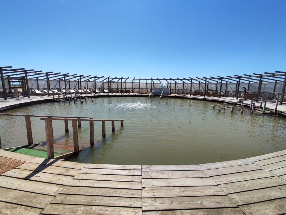 ������� ������� ����������� �������� ���������