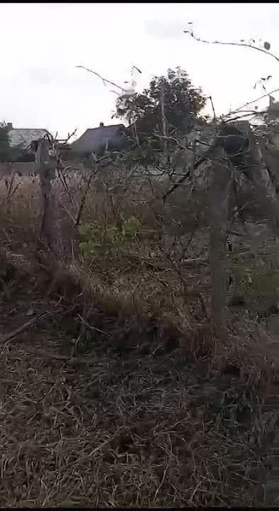 ������� ������: �������, ����������� �������.