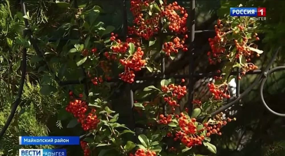 ������ �������������� ���������� ������ ������ ������������� �� ������� � ������ ��������������� ������ �� ���������� ���������� ������: