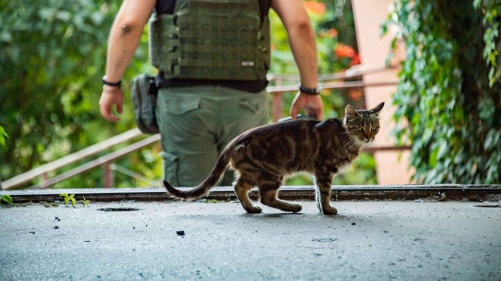 ����������� ��������� ������������� ����� ������� �� ��������� ��� ����� ������, �� ������� ������ ��� �� ��������