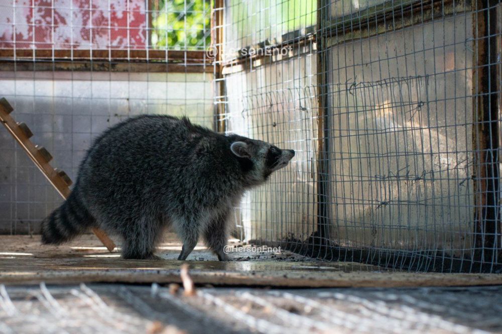 ���� �� �������: ������, � ����� ��������� ������ �����, ���� ������������� ���������� ��������� ����� ����������� �� ����