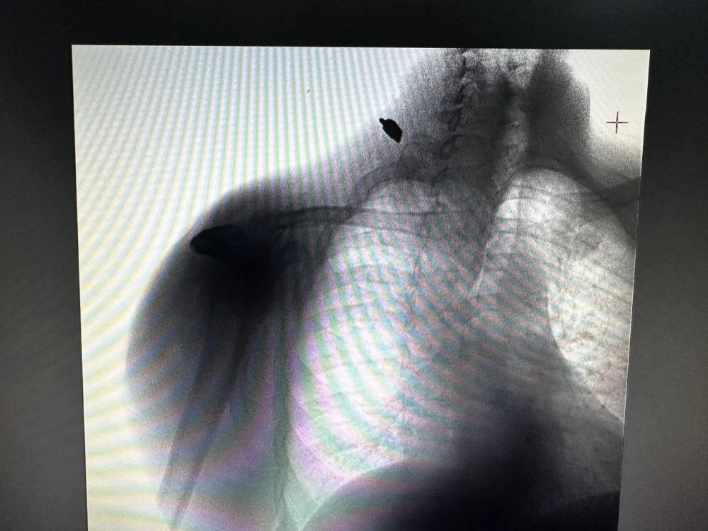 ����� ���� ������ �������� � ���������� �������� � ������ ������� ������ ������� �������� ����� ��������� ��������