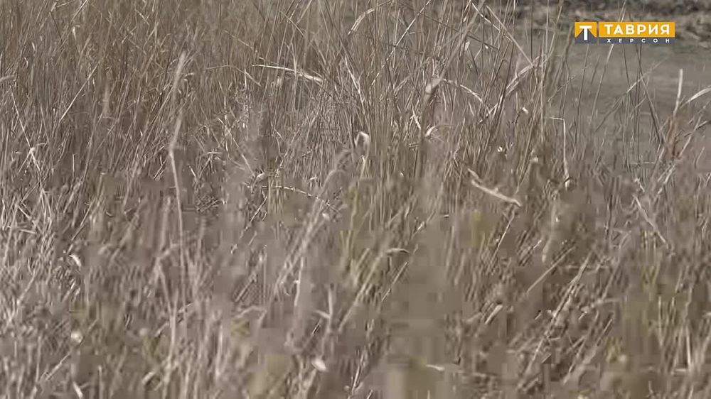 ������� ���������� ������� �������� ����� ������� ��� ��������� ����� � ����� ������