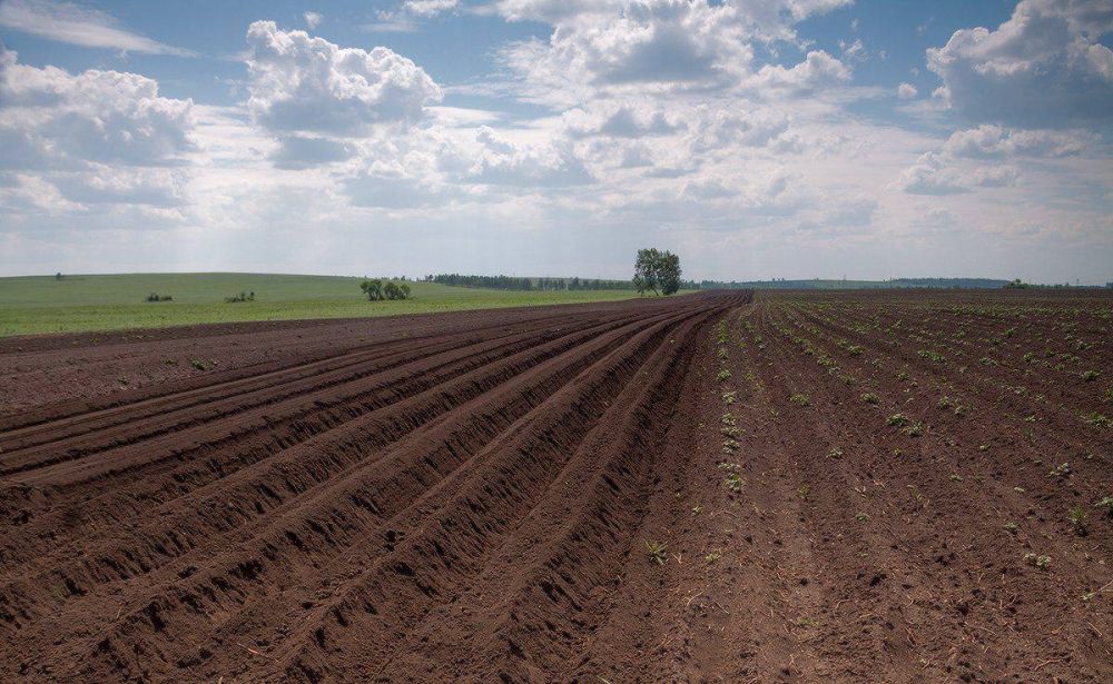 ���������� ���������� ������� �������� ����� �� �������������� �������� ������������ ���, ������ ���������� �����