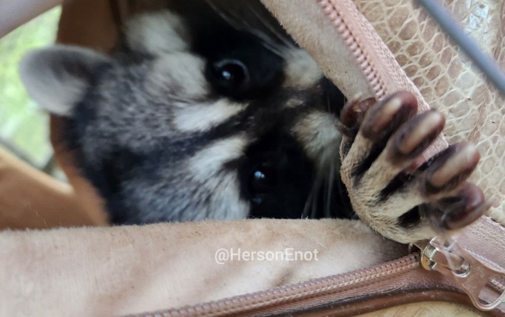 ���� �� �������: ������� ���� � �������� ���, ������!