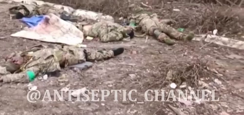 ��� ������������� ����� �����������