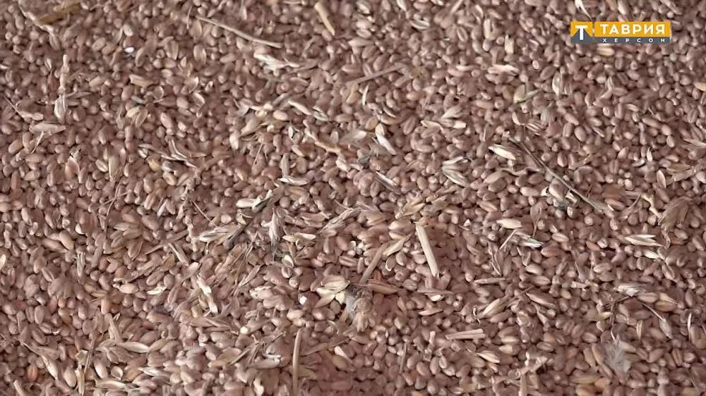 ����� ����� �������� ������� �������� � ����������������� ������� ��������� "�����������"