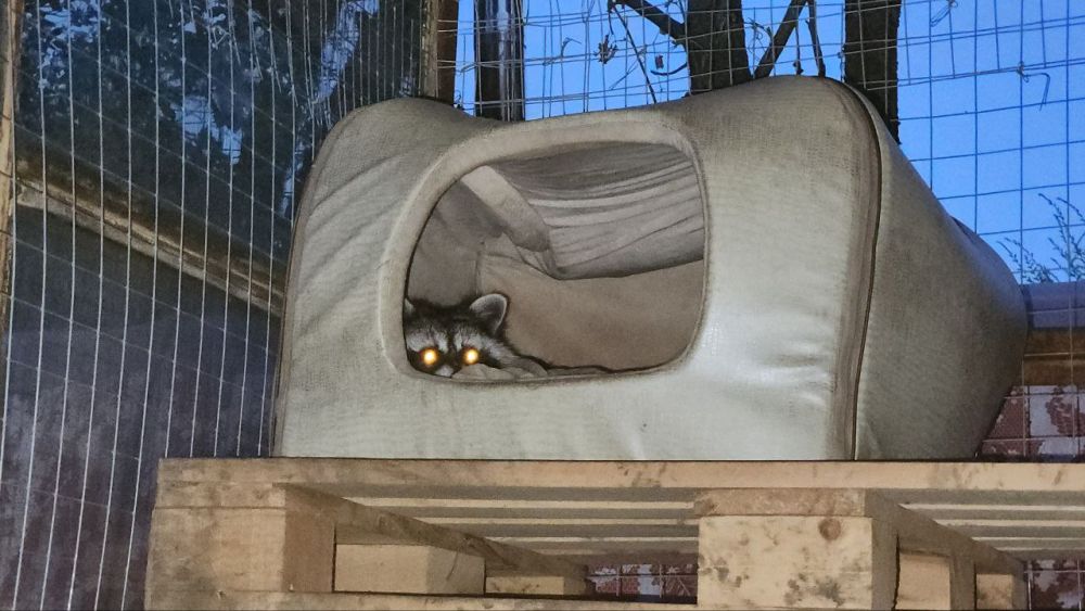 ���� �� �������: ������, ���� ������ ����!