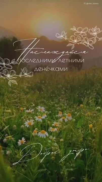 � ������ �����, �����������!