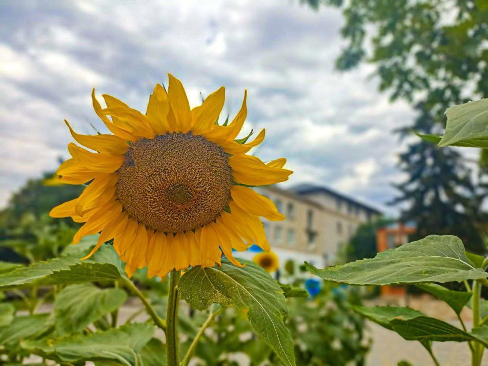 ������ ����, �������!. @VGA_Kakhovka