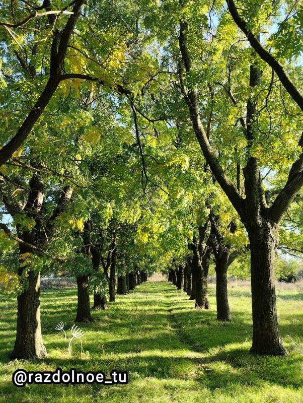 ������,������� ����, ����������!