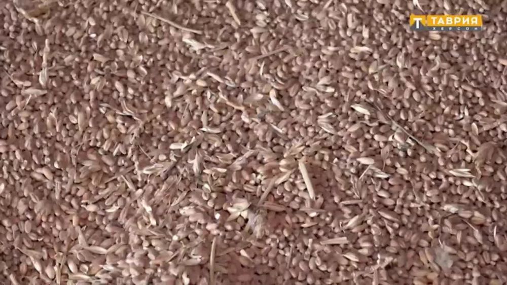 ����� ����� �������� ������� �������� � ����������������� ������� ��������� "�����������"