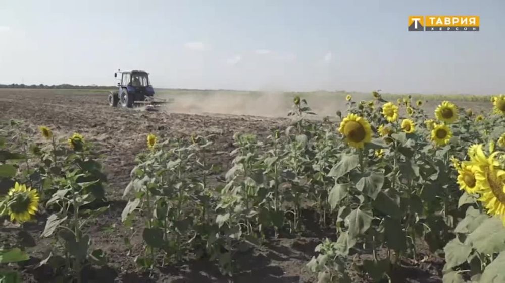 ������� ���������� ������� �������� ����� ������� ��� ��������� ����� � ����� ������