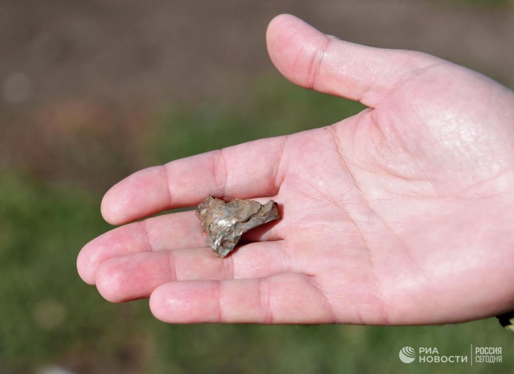 ��� ��������� �� ���� ���������� ������� ���������� ������� 39 ��������