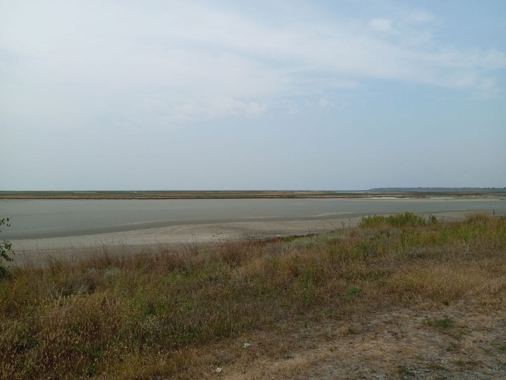 ���������� ���� �������� ����� �����