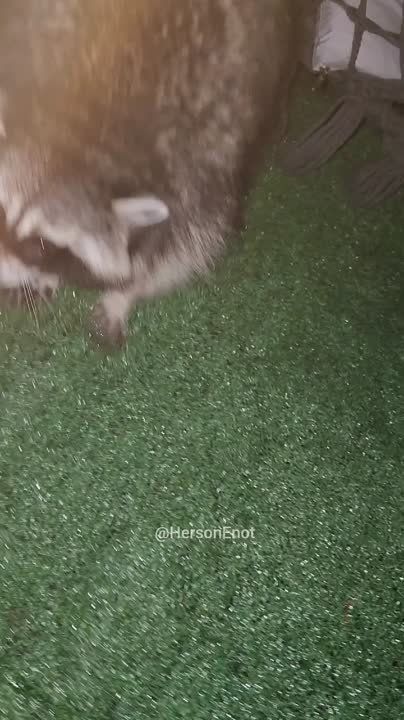 ���� �� �������: � ���� ������, ������!. �������� � ����, ����� ������ ���������� ������! � ��� ��� ���������, � ��� ��� �������� - ����� ����������� ���������� ��� ������������ ������ �� ������