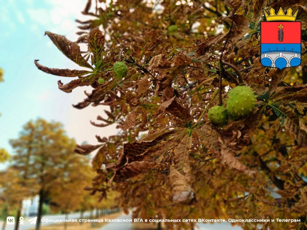 ������ ����, �������!. @VGA_Kakhovka