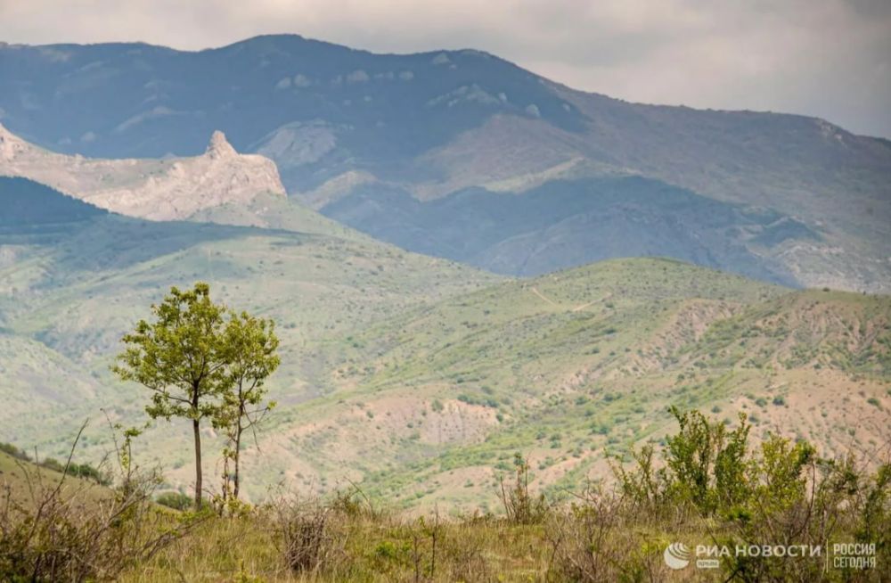 ������ �� ����� ����������� ������