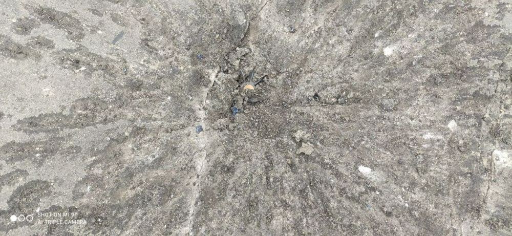 � ��������� ����� ��������� ����� ���� ������� ������