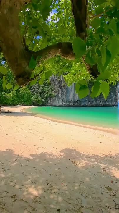 � ������ �����, �����������!