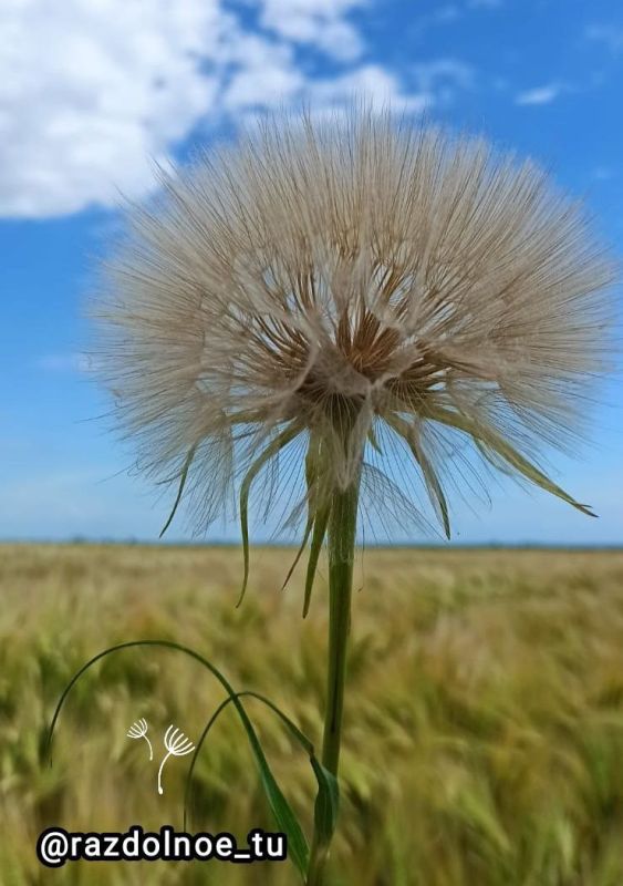 ����������!. ����������� � ������������ ������ ������� � ����������� ����!