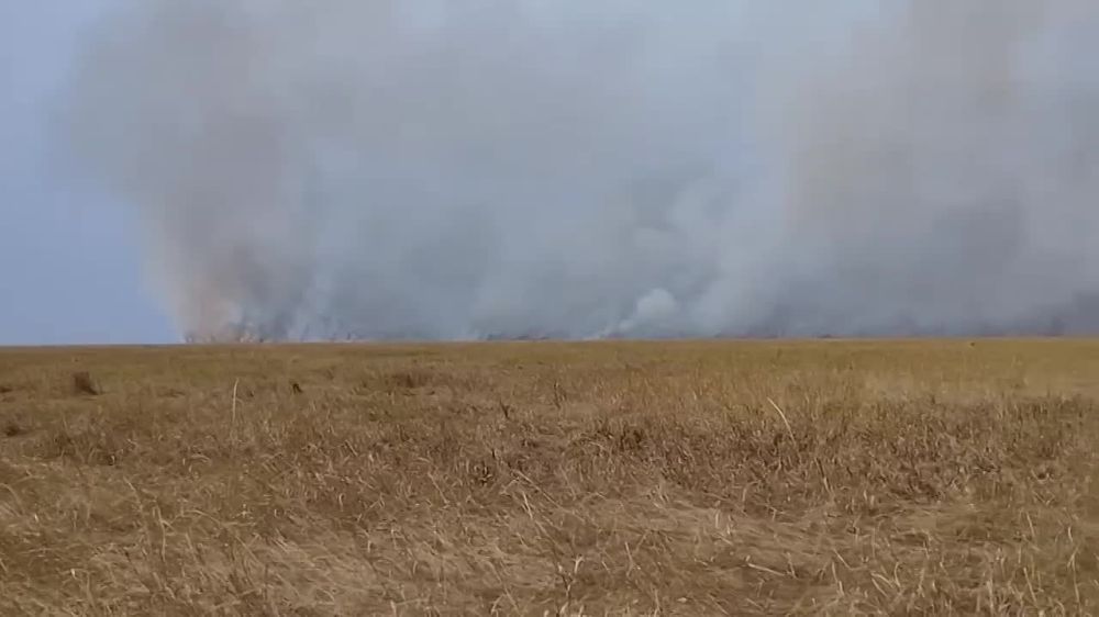 ������� ������� ��������� ������ � ����������� �������-����