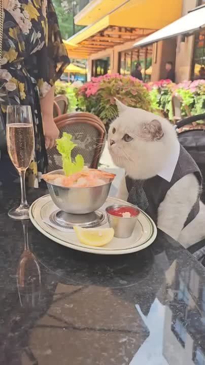 ���, ������ ����� ��� ��������, �� � �����������