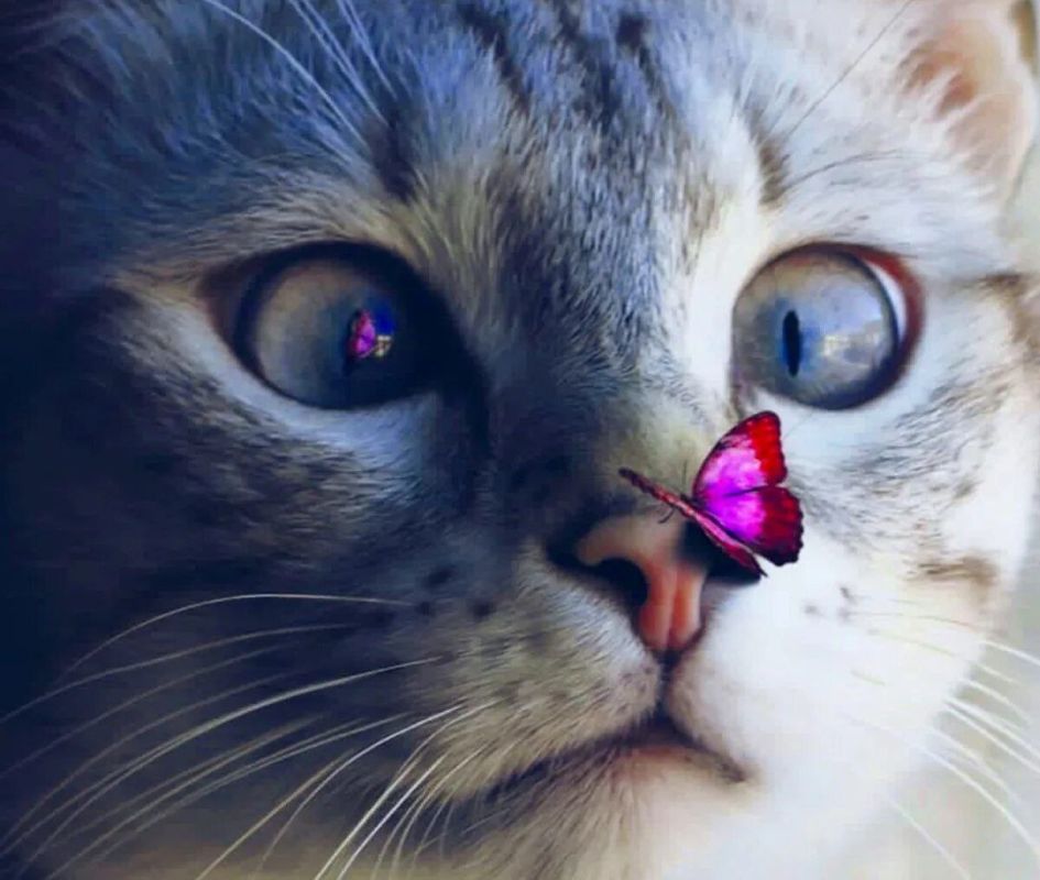 ������ ����. ������� ����� ������ � ������� ����� � ������ ��������� �� ���������. ��� �������. ����������� �� +17 ����� �� +29 ����