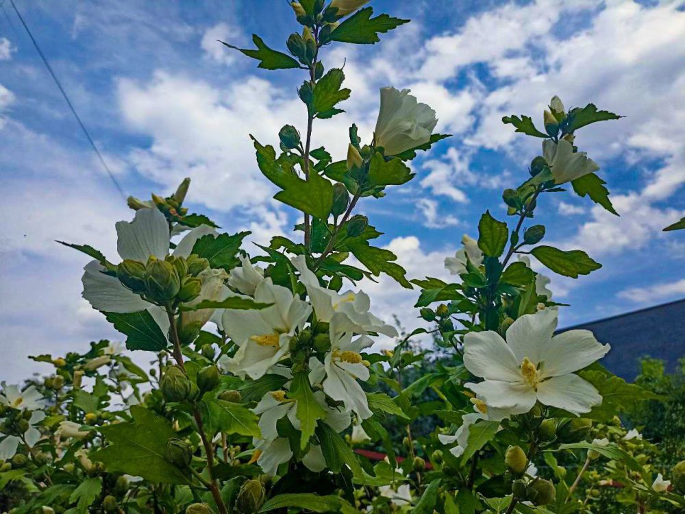 � ������ �����, �����������!