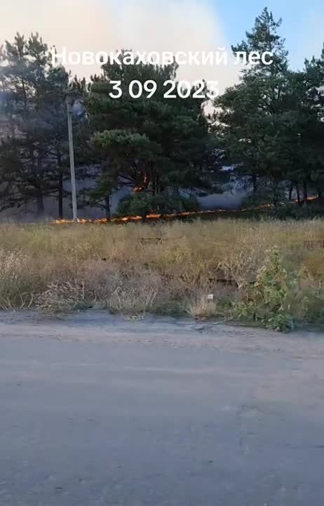 � ���� ��������� ����� � ������ ������� ����� ����� �������, ������� ��������� ����� �������� ���