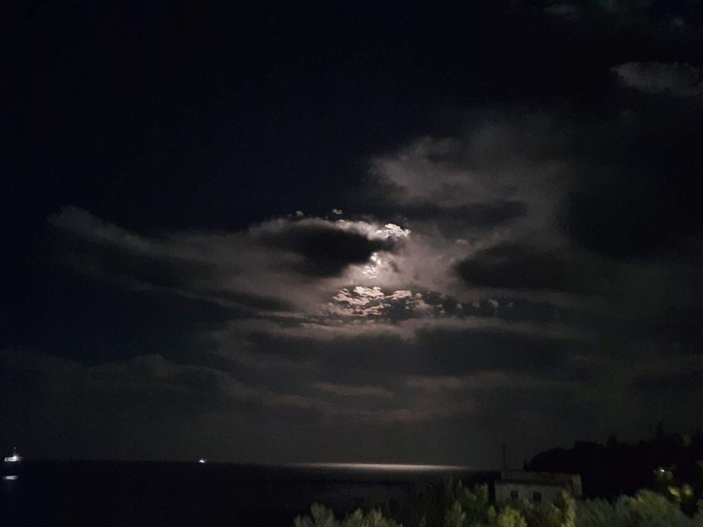 ���� �� �������: ��� ������� � ������ ����