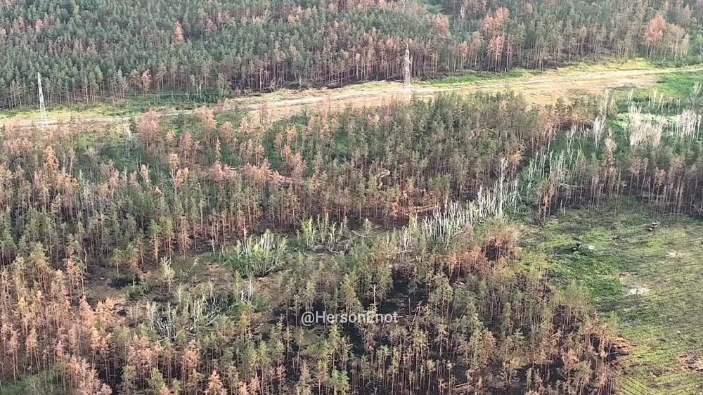 ���� �� �������: � ����� ������� ���������� ���� ��� ��-��������