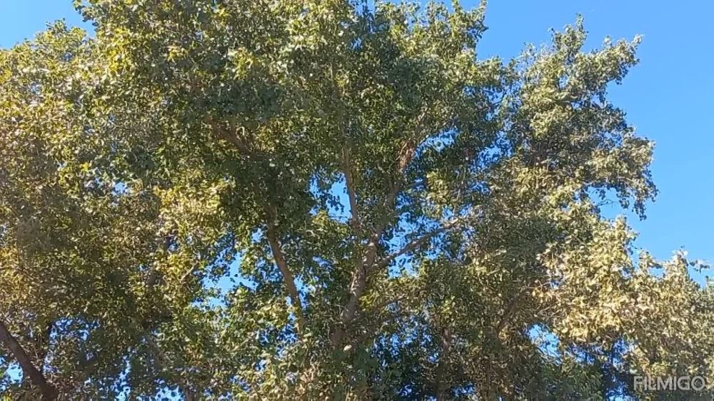 �������� � ���� ���� �� ������ ���� ������ ���� ������������ �� ��� �����������