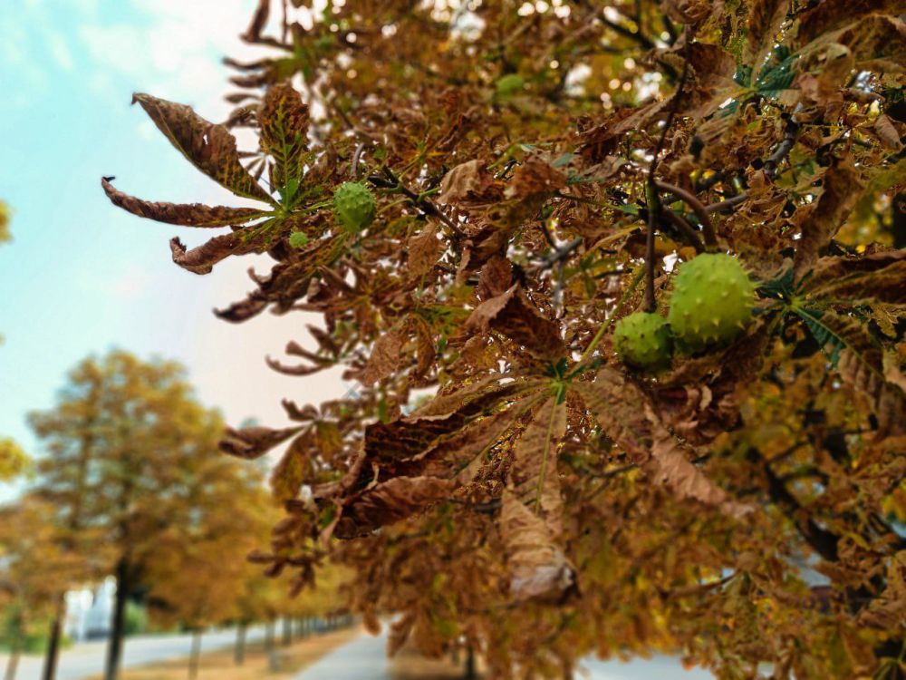 ������ ����, �������!. @VGA_Kakhovka