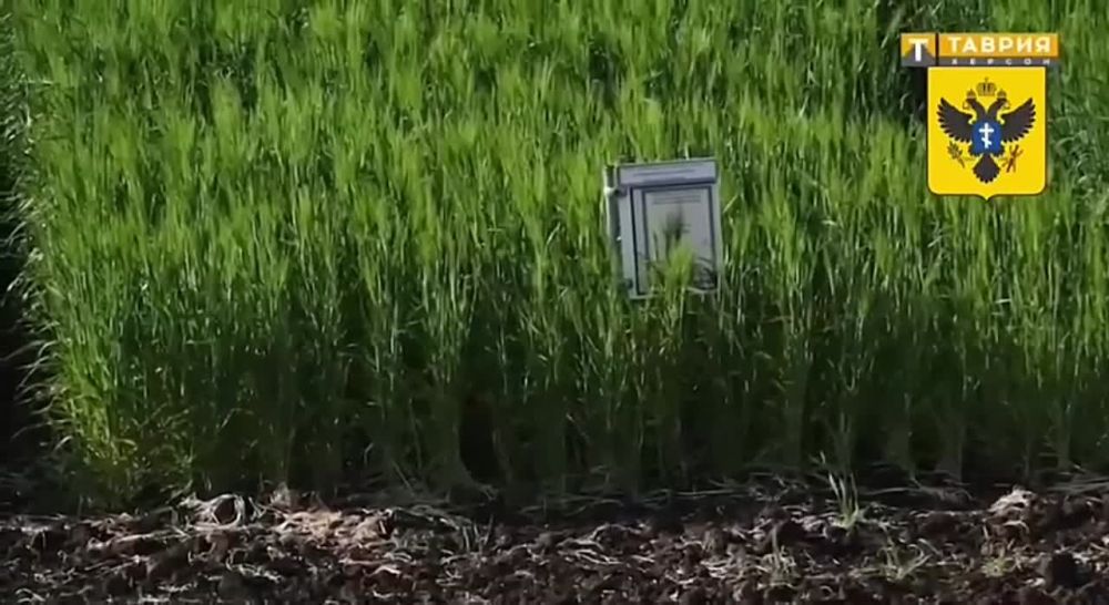 ���������� �������. ���������� ���������������� ����������� ������� ��������� ������������ �������� ����� ����� ��������...