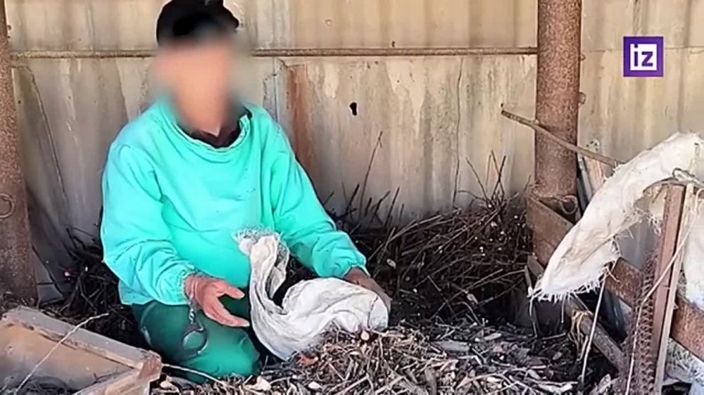 � ����������� ������� �������� �������� ���������� ����������� (��������� �������), ��������� � ���������� �� ��������� ���� ��� ��������