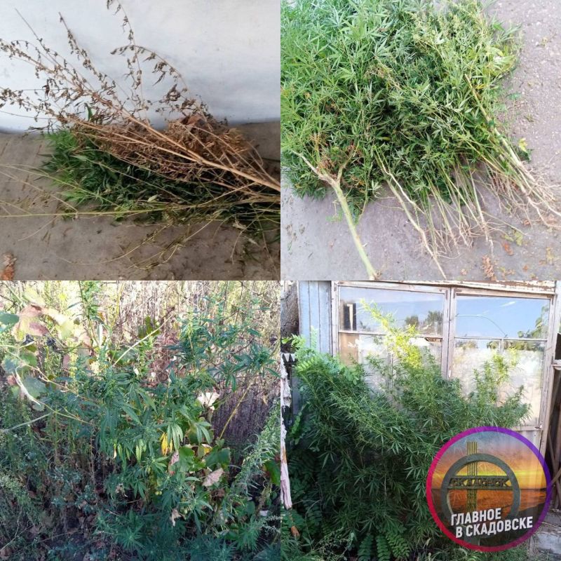 � ������ ��������� ������ 68 ������ ������� � ������� � ����������