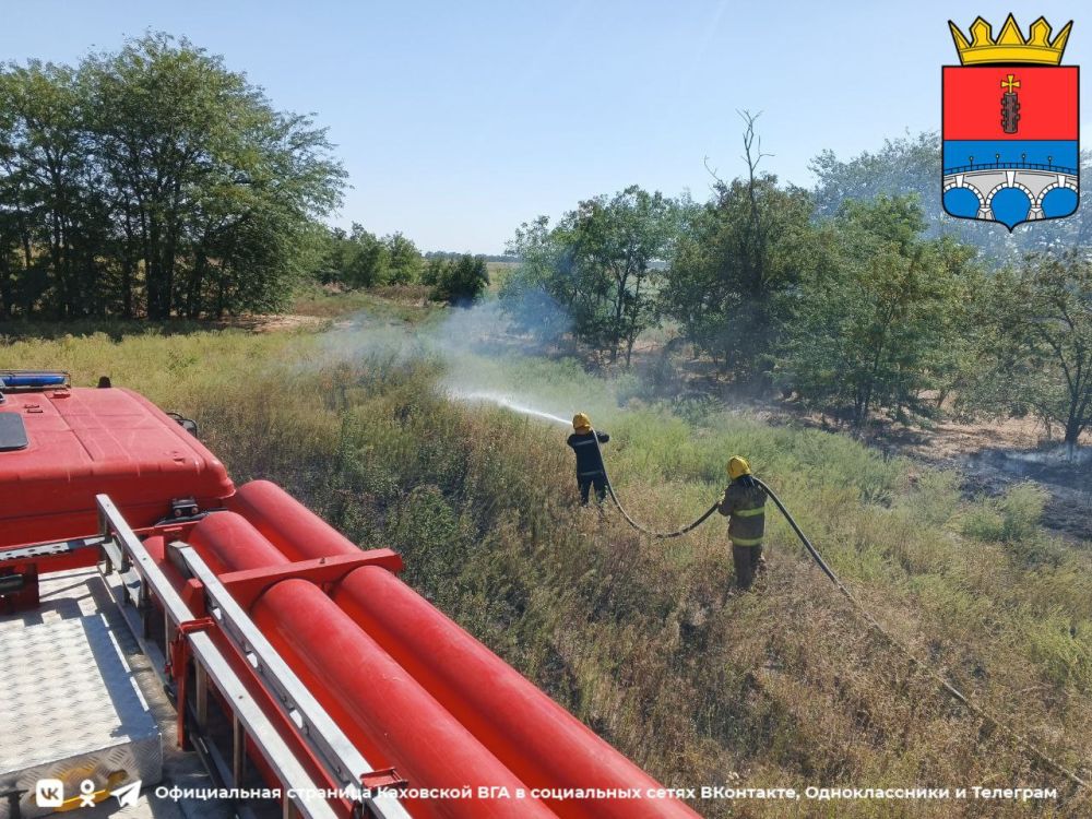 ��������������� �������-������������ ����� ������� �����������