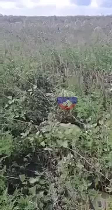 ���������� ���� ����������, ������ � ��� ��� ������ � �������������