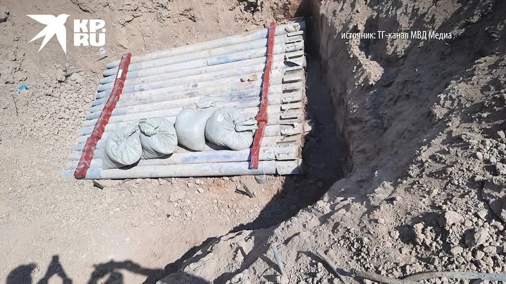 � ���������� ������� ��������� ����� � 29 ����������� ��������