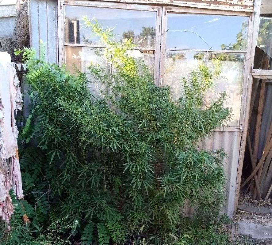 ����������� ������ � ������ ������� ��������� 68 ������ ������� � ������ � ����������