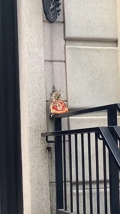 ��� ������ � ����� �������� ���������� ������� ������� ��������, ��� ���������� ���� � �����