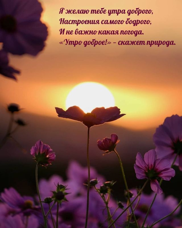 ������ ����. ������� ����� ������ ��������� � ������� ����� � �������, � ���� ���� ����� �������� ������, �� ���������. ��� �������. ����������� �� +14 ����� �� +29 ����