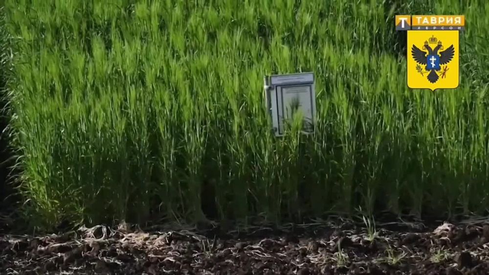 ���������� ���������������� ����������� ������� ��������� ������������ �������� ����� ����� �������� �������