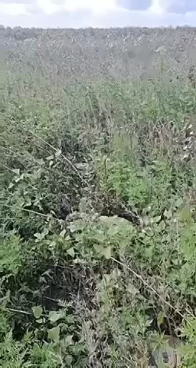 ���������� ���������� ��������� � ���� �� ��������� ������ ����� �� ����������� �����������