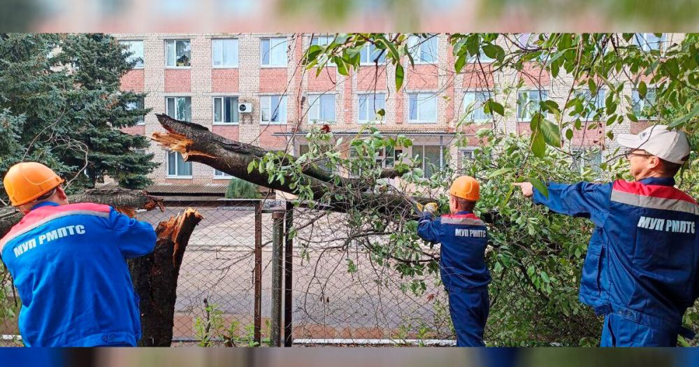 ����������� �� ������ ��������� ����������� ������� � ��������