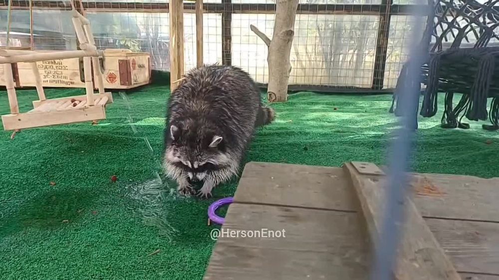 ���� �� �������: ������������ ������� ������� � ���� �������