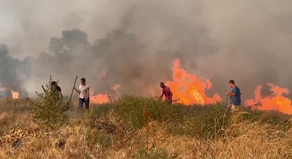 ����� �������� ������������ � ������ ����� ������� ����� ����