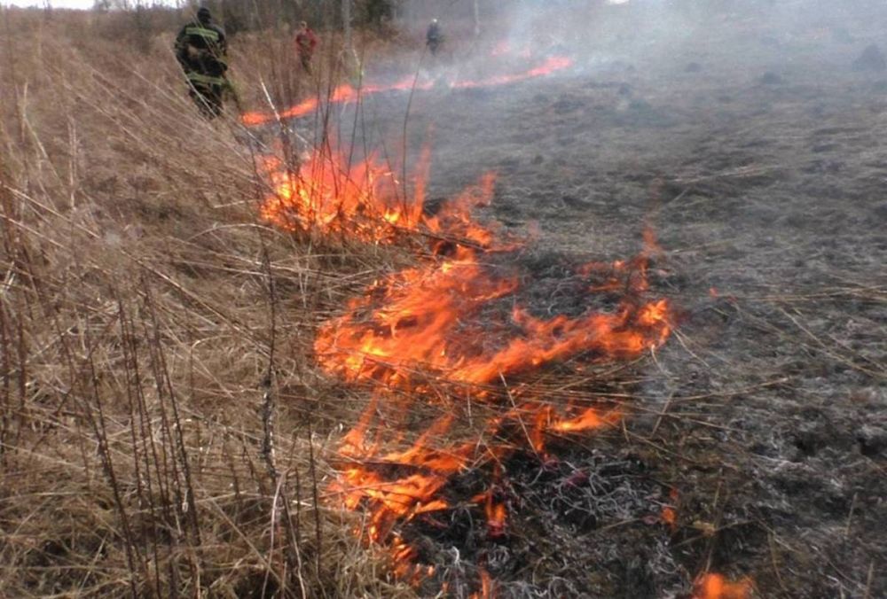 � ���� ������� � ���������� �������� �� ������� ��� ��������� ��������